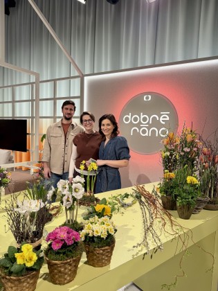 V Dobrém ránu České televize