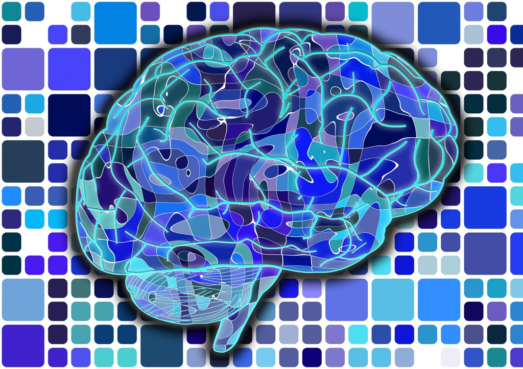 Mindball.eu na Neurovědě ve vzdělávání